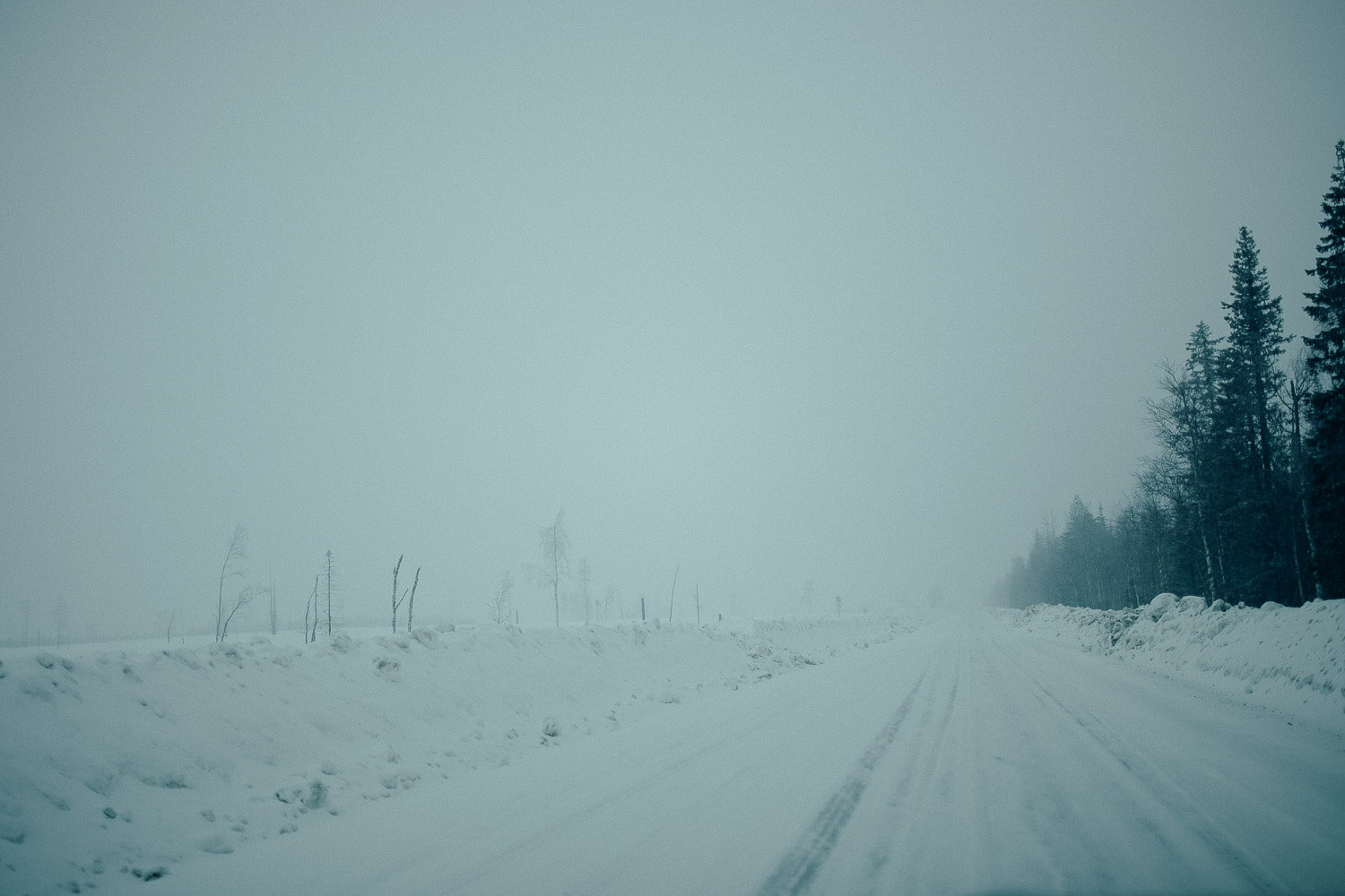 Bröllopsfotograf Skellefteå Malå Johan Seger